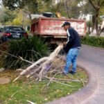 Continúan trabajos de servicios públicos en Zacatecas durante días festivos
