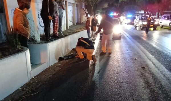 Un hombre pierde la vida en el bulevar de Zacatecas al ser atropellado ...