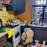 Tras quedar atrapado en un domicilio, bomberos rescatan a un minino
