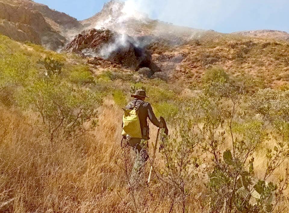 Éxito en el combate de incendio forestal en el Cerro de Los Tepetates ...