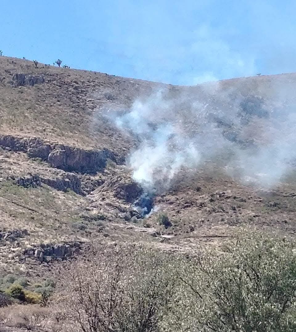 Éxito en el combate de incendio forestal en el Cerro de Los Tepetates ...