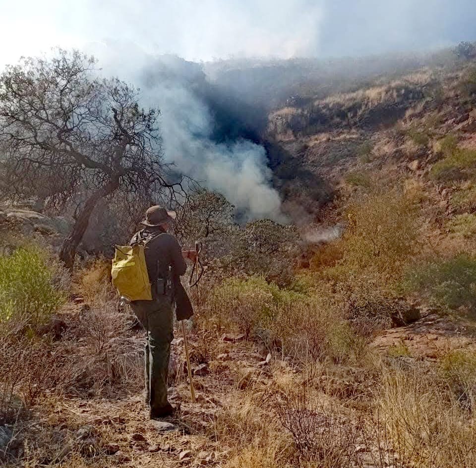 Éxito en el combate de incendio forestal en el Cerro de Los Tepetates ...