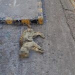 Ciudadanos llaman a autoridades a actuar por envenenamientos en Guadalupe