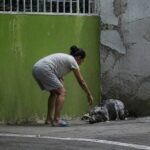 Denuncian violencia brutal contra un perro en Guadalupe (video)