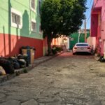 “Zacatecas está abandonado”; colonos explotan por montones de basura