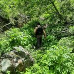 Emprenden búsqueda forense generalizada en Tepechitlán y Fresnillo