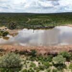 Avanza el rescate del campo con más de 40 bordos en Guadalupe