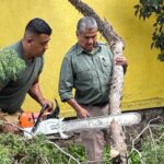 Protección Civil Estatal evita riesgos con atención a fuga de gas y retiro de árboles