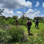 Obtienen resultados positivos en prospección forense en Zacatecas