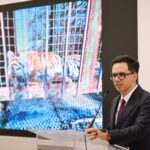 Aseguran un tigre de bengala durante la Operación Rastrillo en Zacatecas