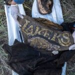 Jornada de búsqueda deja tres hallazgos positivos en territorio jerezano