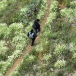 Exigían 10 mil pesos por su supuesta liberación; localizan a adolescente en un cerro